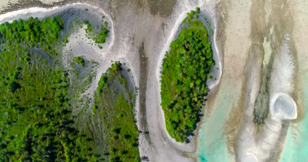 フランス領ポリネシアタヒチファカラバ環礁と有名なブルーラグーン 太平洋 — ストック動画