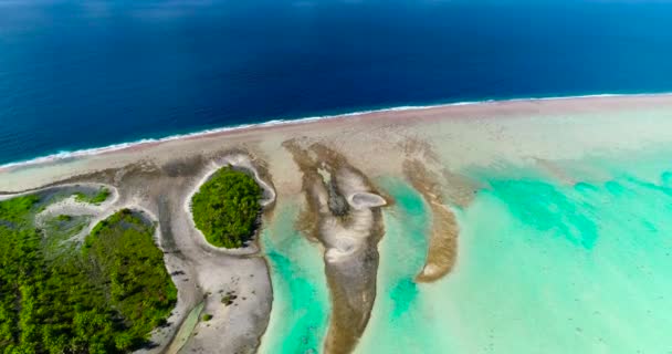 Polinesia Francese Tahiti Fakarava Spiaggia Nell Oceano Pacifico — Video Stock