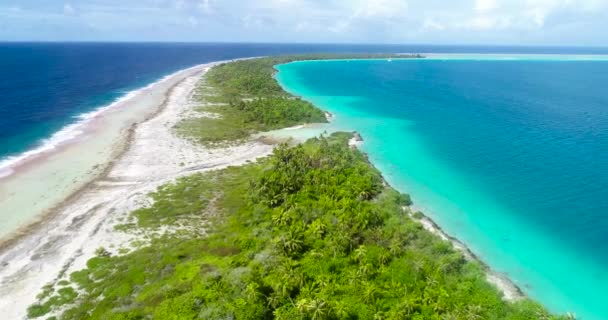 Mavi Gölü Olan Karayipler Deki Altın Ada Cennet Adası Tatil — Stok video