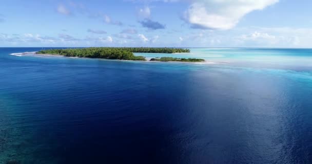 Fransız Polinezyası Tahiti Fakarava Pasifik Okyanusu Plajı — Stok video