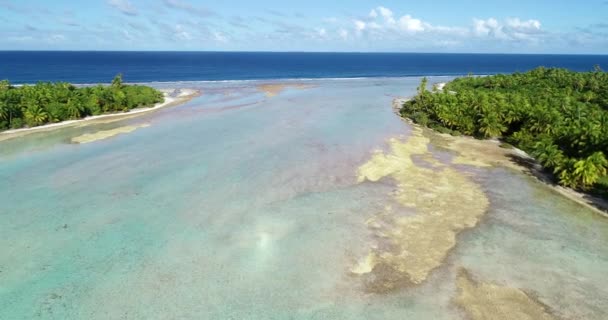 Polinesia Francesa Tahiti Fakarava Playa Océano Pacífico — Vídeo de stock