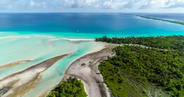 Polinesia Francese Atollo Tahiti Fakarava Famosa Laguna Blu Oceano Pacifico — Video Stock