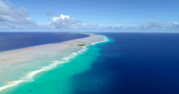 French Polynesia Tahiti Fakarava Atoll Famous Blue Lagoon Coral Reef — Stock Video