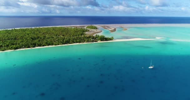 태평양의해 프랑스령 폴리네시아의 타히티 파카라 — 비디오