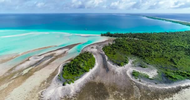 Polinesia Francese Tahiti Fakarava Spiaggia Nell Oceano Pacifico — Video Stock