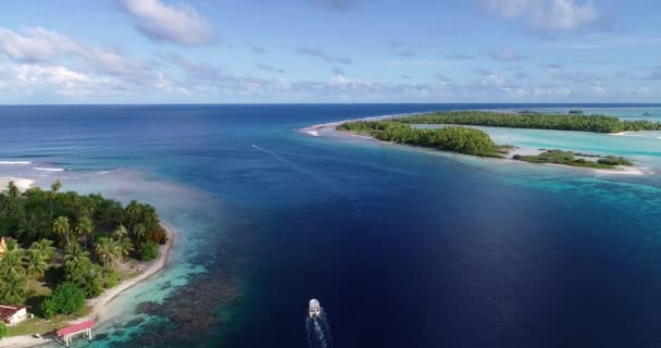 Paisagem Insular Com Lagoa Polinésia Francesa — Vídeo de Stock
