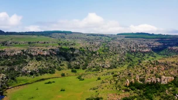 南アフリカのブライド川渓谷の川 自然の完全な美しい風景と旅行や休日に最適です ドローンでの航空ビュー — ストック動画