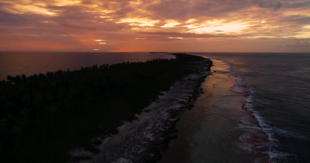 Palmeiras Pôr Sol Polinésia Taiti Fakarava Oceano Pacífico — Vídeo de Stock