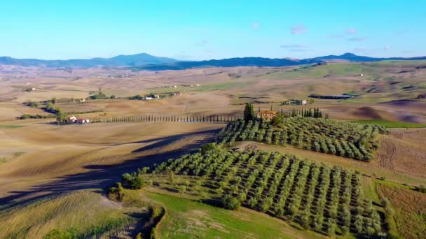 Talya Nın Toskana Talya Daki Monticchiello Köyü Nsansız Hava Aracı — Stok video