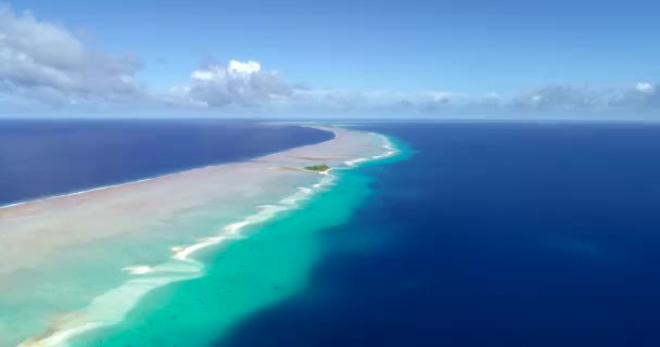 Polynésie Française Atoll Tahiti Fakarava Célèbre Lagune Bleue Récif Corallien — Video