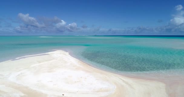 Polinésia Francesa Tahiti Atol Fakarava Famosa Lagoa Azul Recife Coral — Vídeo de Stock