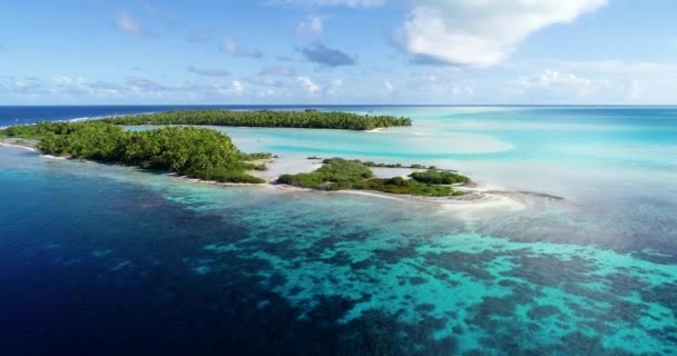 Polinésia Francesa Tahiti Atol Fakarava Famosa Lagoa Azul Recife Coral — Vídeo de Stock