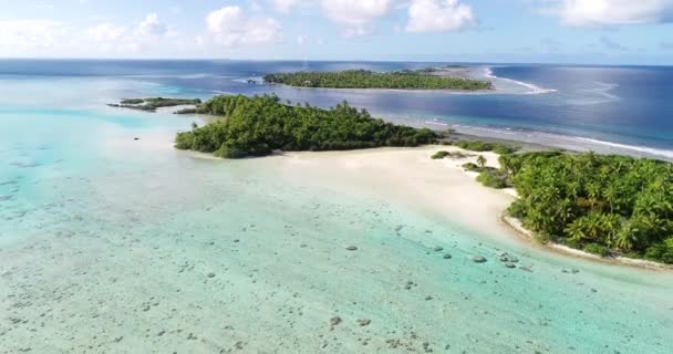 Polinesia Francesa Tahití Atolón Fakarava Famosa Laguna Azul Arrecife Coral — Vídeo de stock