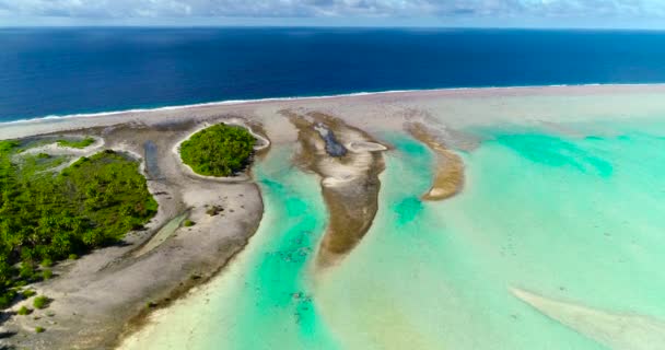 Polinésia Francesa Tahiti Atol Fakarava Famosa Lagoa Azul Recife Coral — Vídeo de Stock