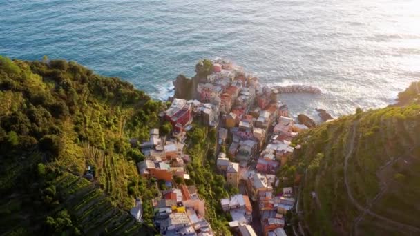 Vue Aérienne Village Manarola Côte Des Cinque Terre Italie Magnifique — Video