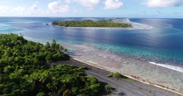 Polinésia Francesa Tahiti Atol Fakarava Famosa Lagoa Azul Recife Coral — Vídeo de Stock