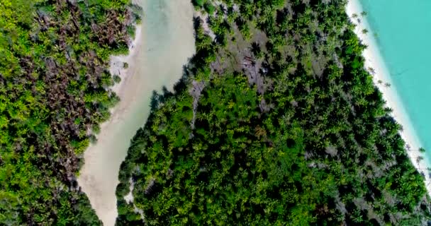 Polynésie Française Atoll Tahiti Fakarava Célèbre Lagune Bleue Récif Corallien — Video