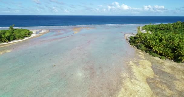 Franska Polynesien Tahiti Fakarava Atoll Och Berömda Blue Lagoon Korallrev — Stockvideo