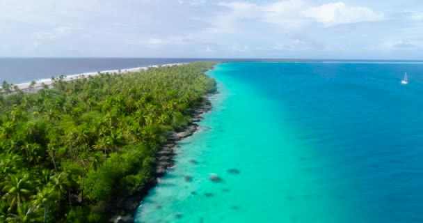 Blue Lagoon Atoll Island French Polynesia Paradise Island Perfect Holidays — Stock Video
