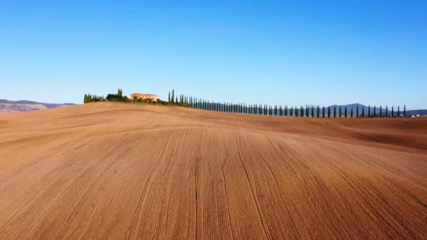 農業分野と牧草地で地平線上にイタリアのフィールドMonticchielloトスカーナ イタリアの美しい古い村の空中ビュー — ストック動画