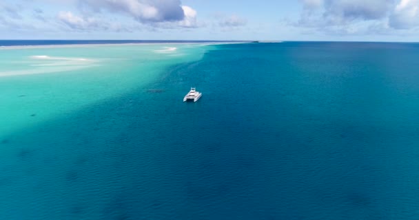 Polinésia Francesa Tahiti Atol Fakarava Navio Blue Lagoon Recife Coral — Vídeo de Stock