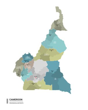 Kamerun higt alt bölümlerle detaylı harita. Bölgeleri ve şehirleri eyalet ve idari bölgeler tarafından renklendirilmiş Kamerun 'un idari haritası. Düzenlenebilir ve etiketlenmiş katmanları olan vektör illüstrasyonu.