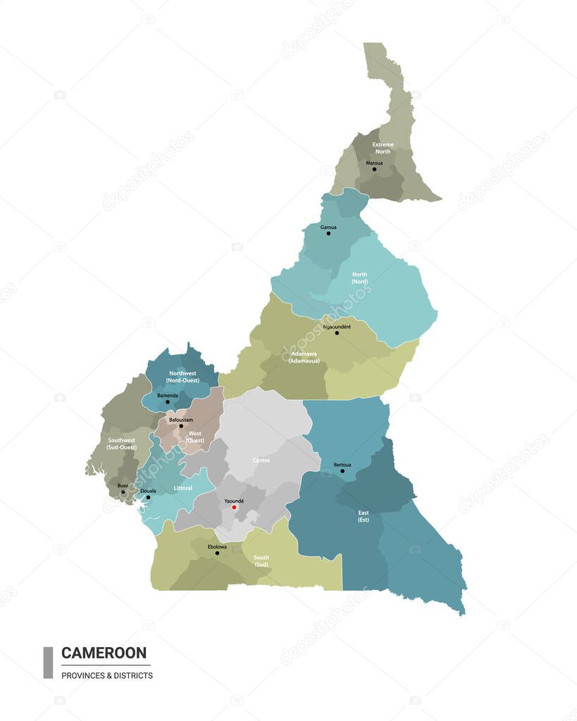 Cameroon higt detailed map with subdivisions. Administrative map of Cameroon with districts and cities name, colored by states and administrative districts. Vector illustration with editable and labelled layers.