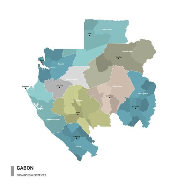 Gabón Higt Mapa Detallado Con Subdivisiones Mapa Administrativo Gabón Con — Vector de stock