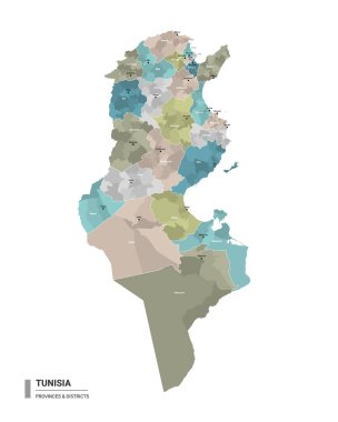 Tunus 'un üst birimleriyle detaylı haritası. Bölgeleri ve şehirleri eyalet ve idari bölgelerle renklendirilmiş Tunus 'un idari haritası. Düzenlenebilir ve etiketlenmiş katmanları olan vektör illüstrasyonu.