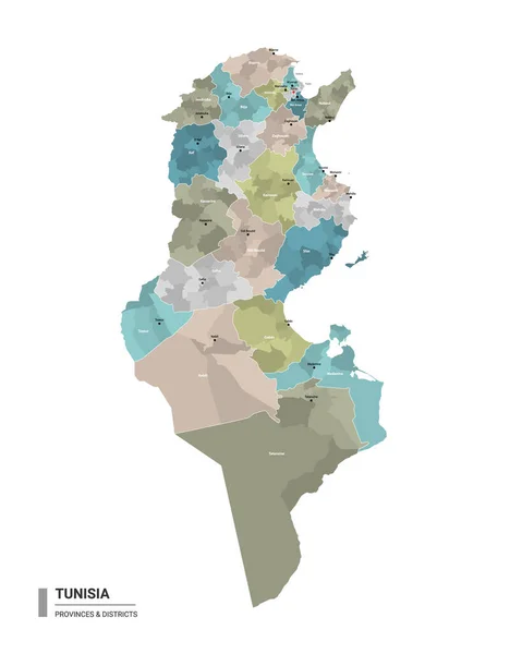 Туніс Розміщує Детальну Мапу Підрозділами Адміністративна Карта Тунісу Районами Міською — стоковий вектор