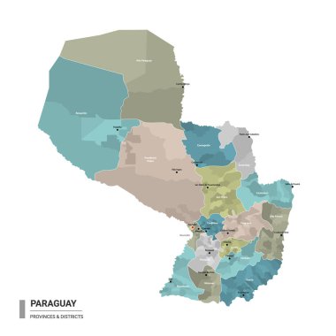 Paraguay higt haritasını alt bölümlere ayırdı. Eyaletler ve idari bölgeler tarafından renklendirilmiş Paraguay 'ın idari haritası. Vektör illüstrasyonu.