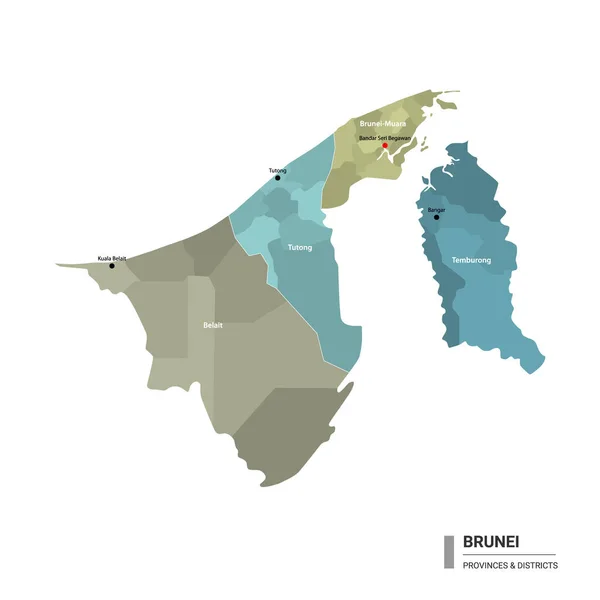 Brunei Higt Detaljerad Karta Med Delsektioner Administrativ Karta Över Brunei — Stock vektor