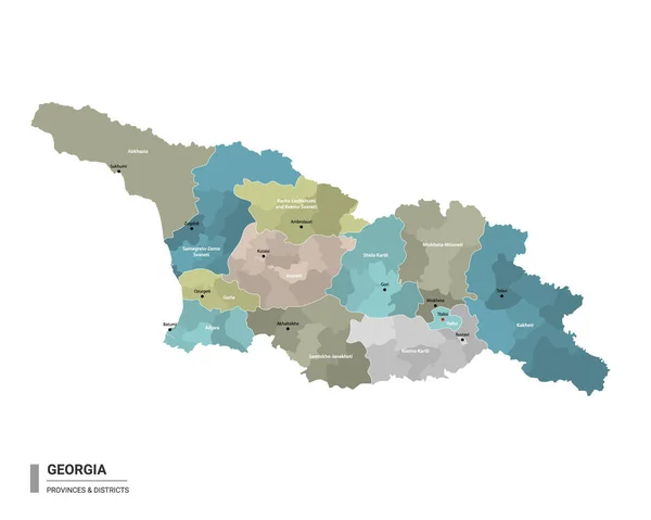Грузия Имеет Детальную Карту Подразделениями Административная Карта Грузии Названиями Районов — стоковый вектор