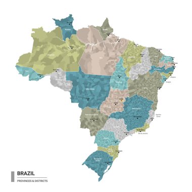Brezilya higt ayrıntılı haritası ile alt bölümler. Bölgeleri ve şehirleri eyalet ve idari bölgeler tarafından renklendirilmiş Brezilya 'nın idari haritası. Vektör illüstrasyonu.