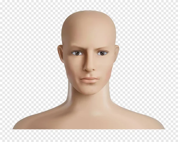 有面部 羽毛或男性头部模型的矢量3D人类模型 现实的傻瓜 人体模型头 透明的背景 — 图库矢量图片