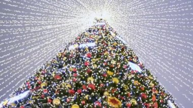 Renkli toplar, yıldızlar ve parıldayan çelenklerle süslenmiş Noel ağacı manzarası. Odaklanamıyorum.