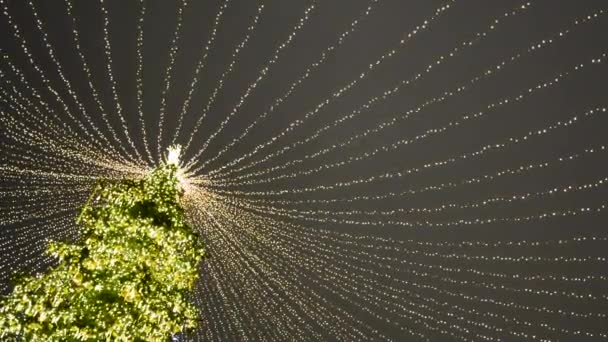 Вид на елку, украшенную золотыми шариками, звездами и сверкающими гирляндами. — стоковое видео