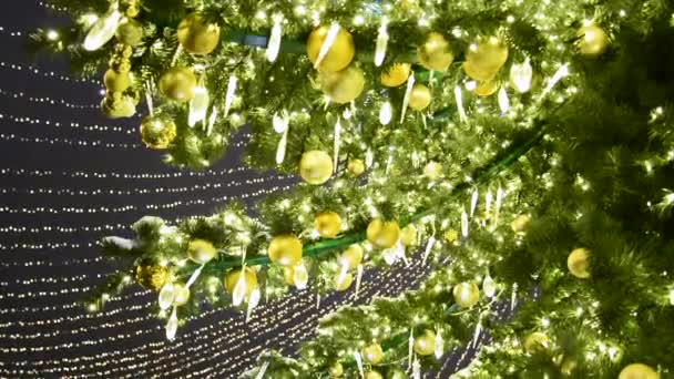 Vue d'une branche d'un sapin de Noël orné de boules dorées et de guirlandes lumineuses qui se trouve dans la rue. — Video