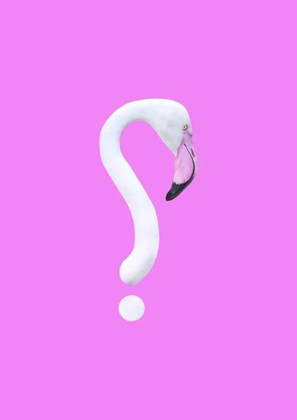 Çağdaş kolaj. Üç boyutlu illüstrasyon. Pembe arka planda soru işareti şeklinde beyaz flamingo