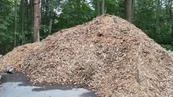 Zicht op gerecycleerd hout in de vorm van een grote stapel zaagsel in het bos. — Stockvideo