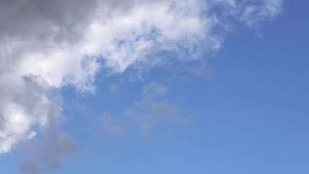 Widok błękitnego nieba z chmurami kumulującymi, na których zbliża się ciemna chmura. — Wideo stockowe