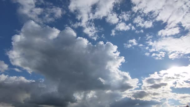 Blick in den Himmel mit Haufenwolken, durch die die Sonne hervorlugt. — Stockvideo