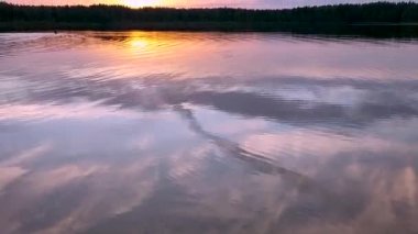 Bir adam gölde yüzüyor ormandaki gölde güzel bir günbatımının arka planında.