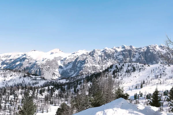 Top Uitzicht Vanaf Skipiste Naar Het Besneeuwde Bos Bergen Rivier — Stockfoto