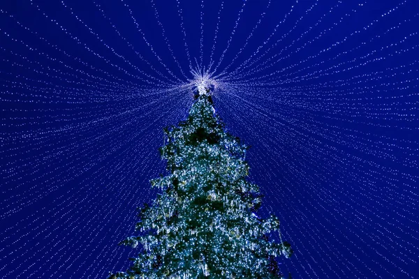 Geceleyin mavi gökyüzüne karşı oyuncaklar ve çelenklerle süslenmiş Noel ağacı