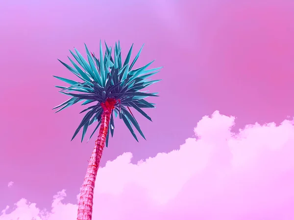 Contemporary collage. Palm tree against a pink sky with cumulus clouds. Art, summer concept