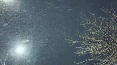 Kış. Sokak lambası, karla kaplı ağaçlar ve gece uçan kar manzarası..