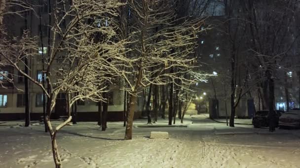 Winter. View of the courtyard in the city with snow-covered trees, snowdrifts against the background of flying snow at night. — Vídeo de stock