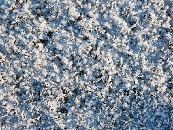 Uitzicht Droog Gras Bedekt Met Kristallen Van Vorst Een Ijzige — Stockfoto