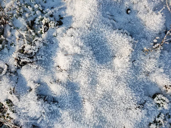 Pohled Nerovný Povrch Země Pokrytý Krystaly Mrazu Mrazivého Slunečného Dne — Stock fotografie